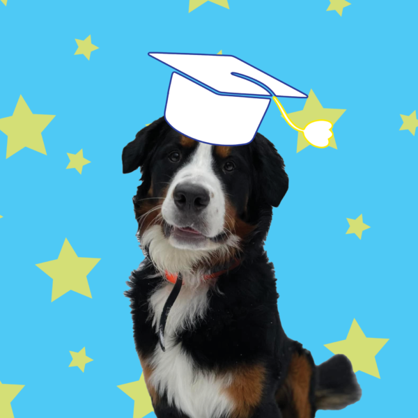 Pin The Graduate - Oliver