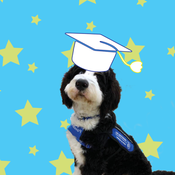 Pin The Graduate